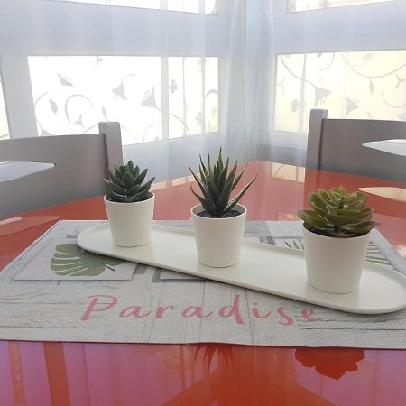 Apartment Pitaya بلايا ديل إنغلز المظهر الخارجي الصورة